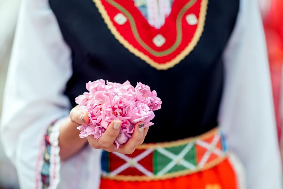 Woman dresssed in traditional attire holding rose petals in her hand amidst the fields of Bulgaria's Rose Valley.
