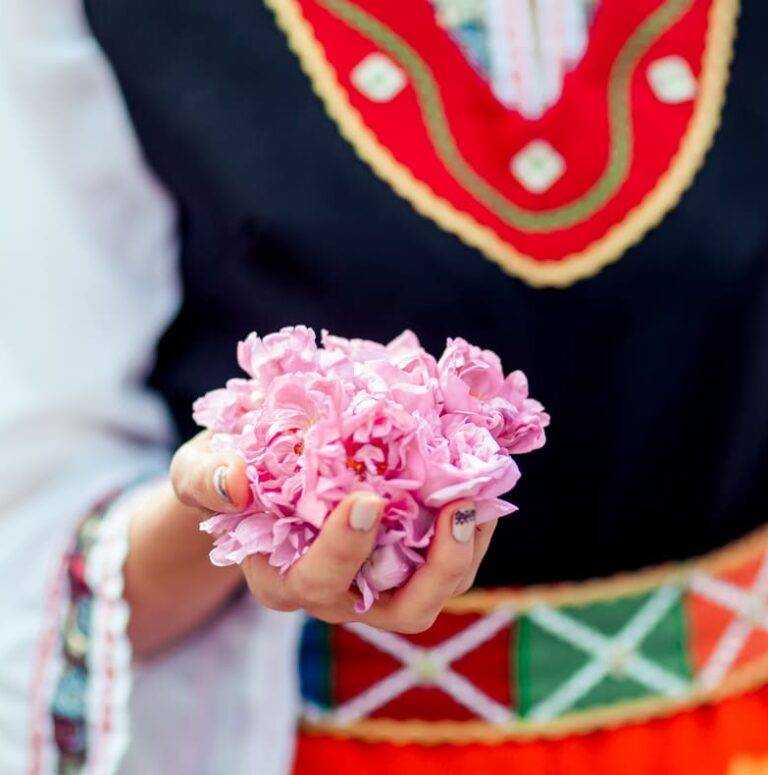 Woman dresssed in traditional attire holding rose petals in her hand amidst the fields of Bulgaria's Rose Valley.